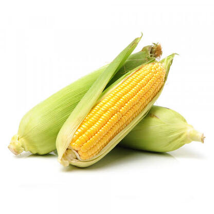 Sweet Corn